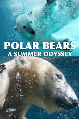 Poster for Polar Bears: A Summer Odyssey (2012)