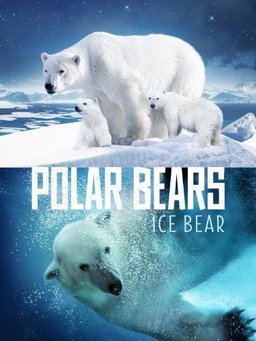 Poster for Polar Bears: Ice Bear (2013)