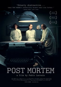 Poster for Post Mortem (2010)