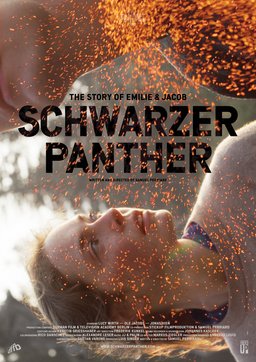 Poster for Black Panther (2014)