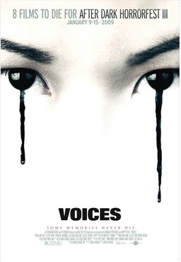 Poster for Voices (2007)