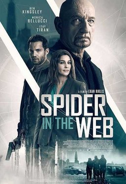 Poster for Spider in the Web (2019)