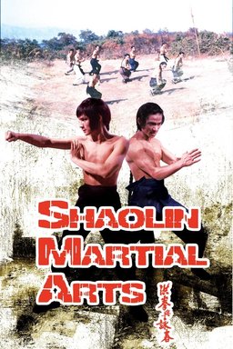 Poster for Shaolin Martial Arts (1974)