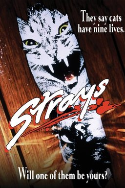 Poster for Strays (1991)