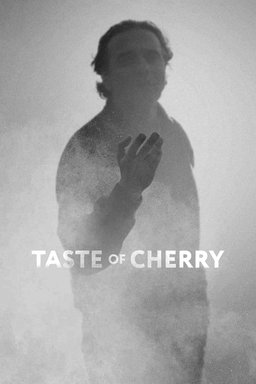 Poster for Taste of Cherry (1997)