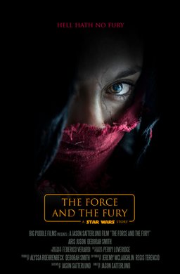 Poster for Star Wars: The Force and the Fury (2017)