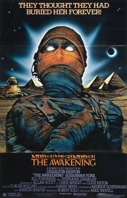 Poster for The Awakening (1980)