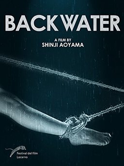 Poster for The Backwater (2013)