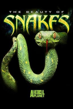 Poster for Beauty of Snakes (2003)