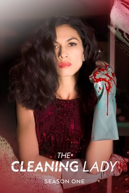 Poster for The Cleaning Lady - Season 1