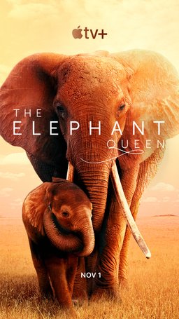 Poster for The Elephant Queen (2018)