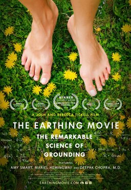 Poster for The Earthing Movie (2019)