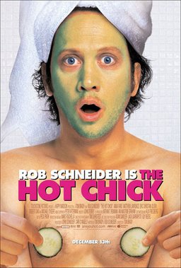 Poster for The Hot Chick (2002)