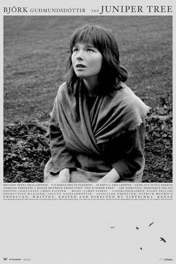 Poster for The Juniper Tree (1990)