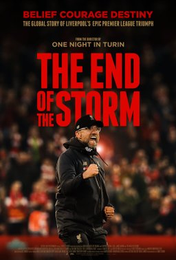 Poster for The End of the Storm (2020)
