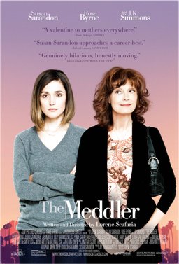 Poster for The Meddler (2015)