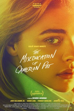 Poster for The Miseducation of Cameron Post (2018)