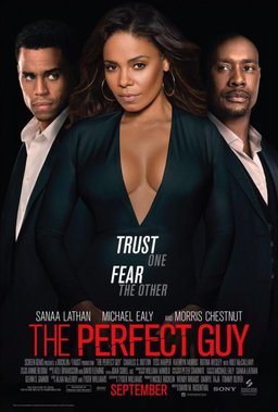 Poster for The Perfect Guy (2015)