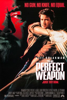 Poster for The Perfect Weapon (1991)