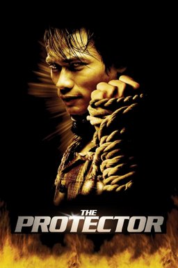 Poster for The Protector (2005)