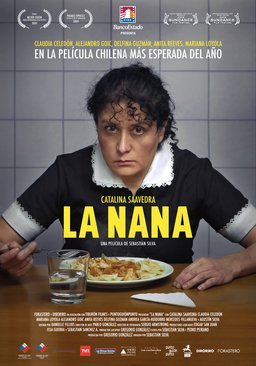 Poster for The Maid (2009)