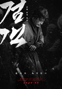 Poster for The Swordsman (2020)