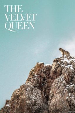 Poster for The Velvet Queen (2021)