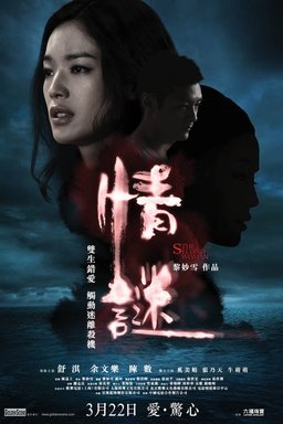 Poster for The Second Woman (2012)