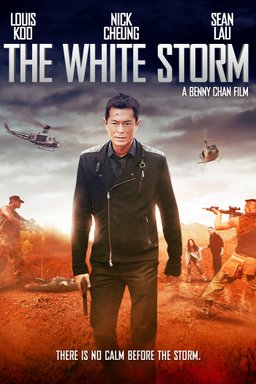 Poster for The White Storm (2013)
