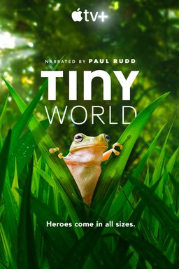 Poster for Tiny World - Season 1
