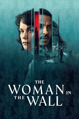 Poster for The Woman in the Wall - Season 1