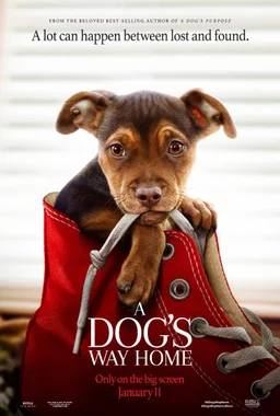 Poster for A Dog's Way Home (2019)