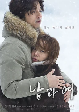 Poster for A Man and a Woman (2016)