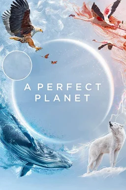 Poster for A Perfect Planet - Season 1