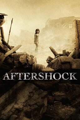 Poster for Aftershock (2010)