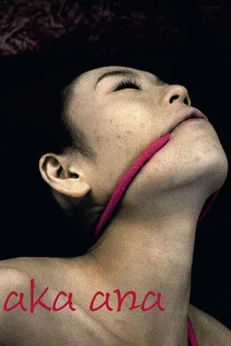 Poster for Aka Ana (2008)