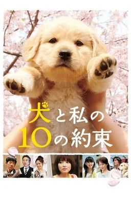 Poster for 10 Promises to My Dog (2008)