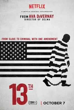 Poster for 13th (2016)