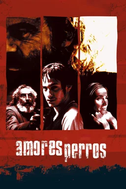Poster for Amores Perros (2000)