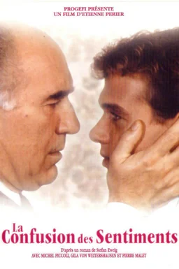 Poster for Confused Feelings (1981)