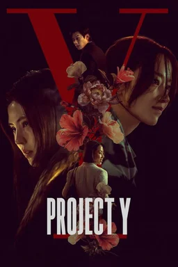 Poster for Project Y (2025)