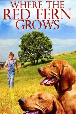 Poster for Where the Red Fern Grows (1974)