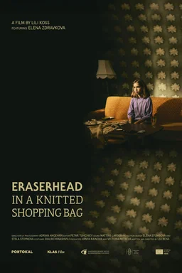 Poster for Eraserhead in a Knitted Shopping Bag (2025)