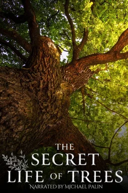 Poster for The Secret Life of Trees - Season 1