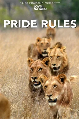 Poster for Pride Rules - Season 1