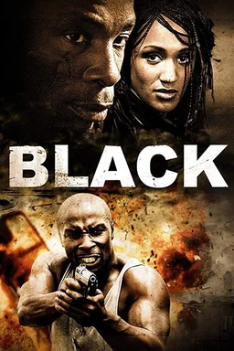 Poster for Black (2009)