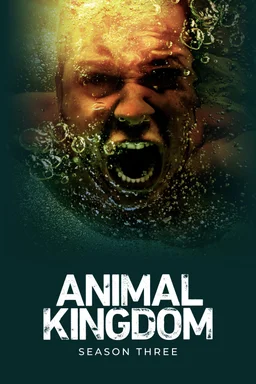 Poster for Animal Kingdom - Season 3