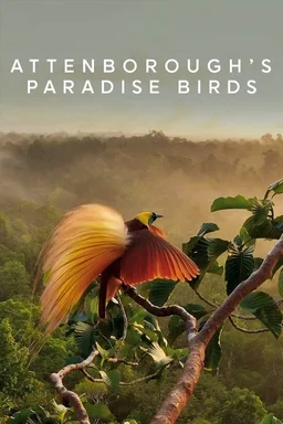 Poster for Attenborough's Paradise Birds (2015)