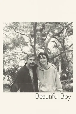 Poster for Beautiful Boy (2018)