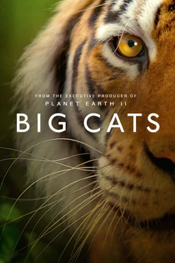 Poster for Big Cats - Season 1